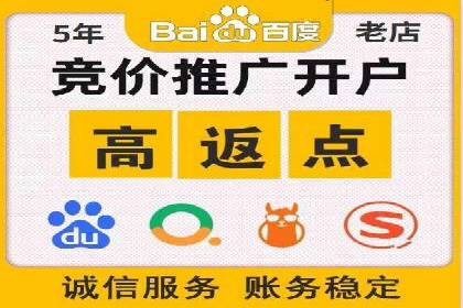 网络推广竞价策略案例分析